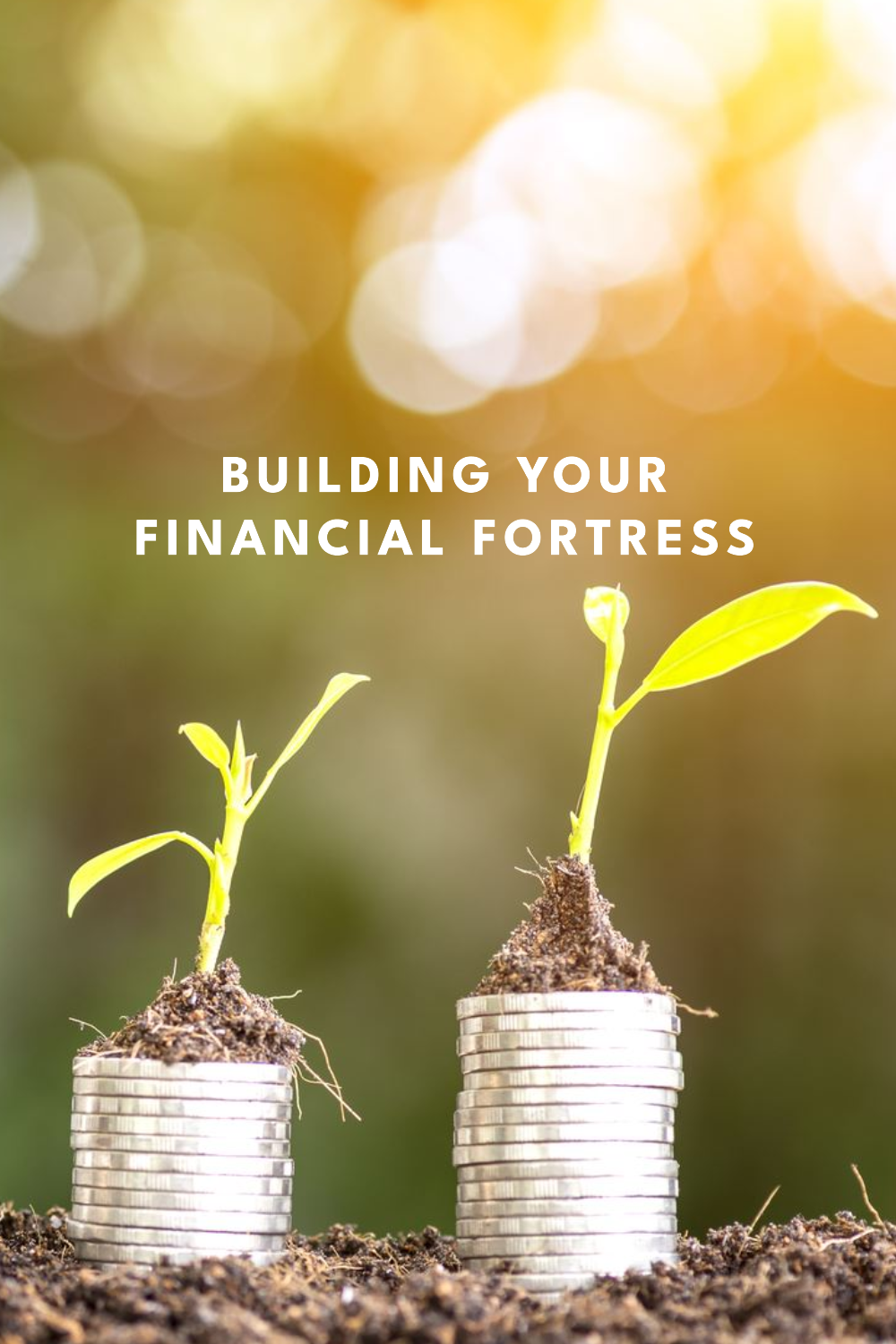 Building your financial fortress: Top growth stocks for 2024