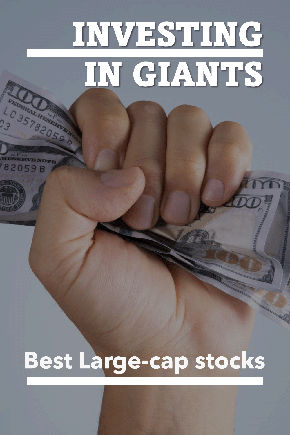 Best large-cap stocks to invest in 2025