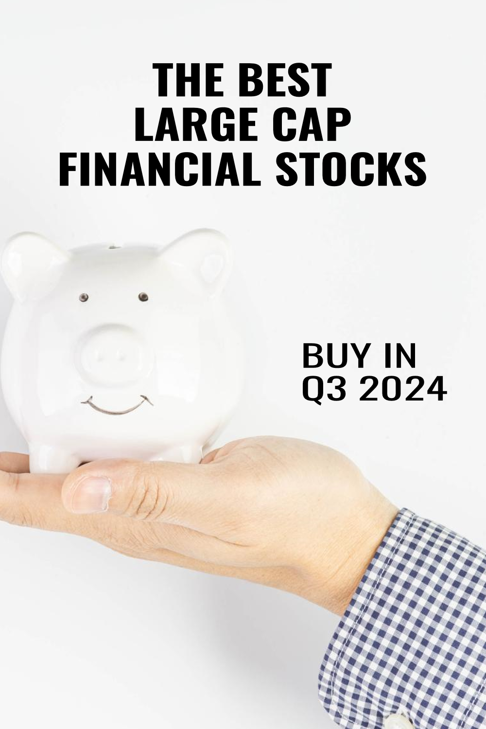 Best large-cap financial stocks to invest in Q3 2024