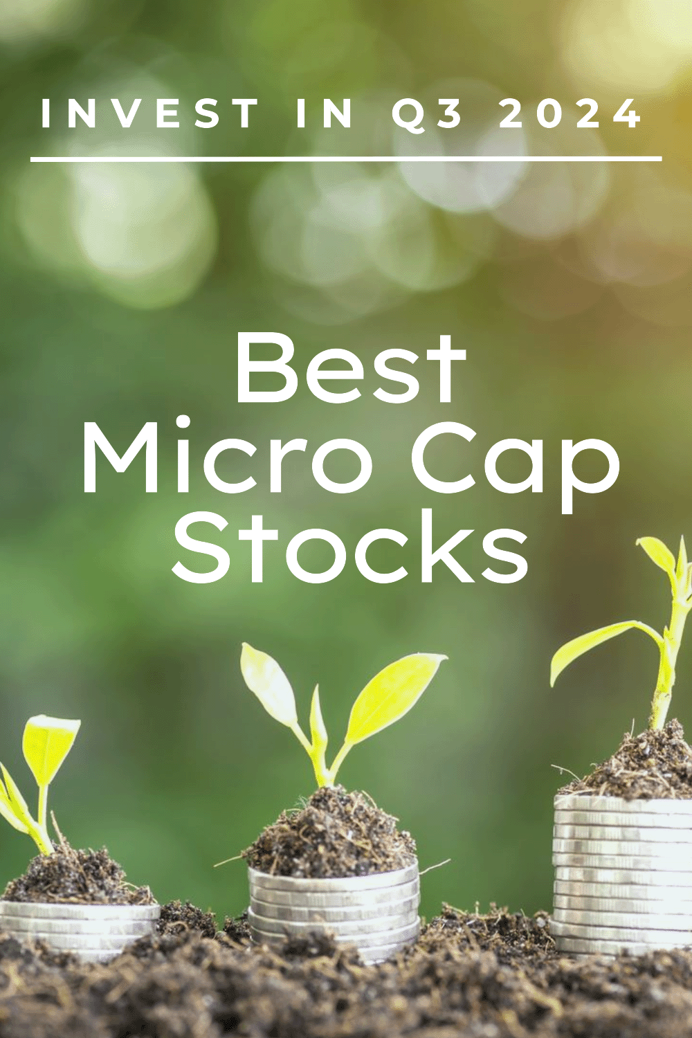 Best micro-cap stocks to invest in Q3 2024